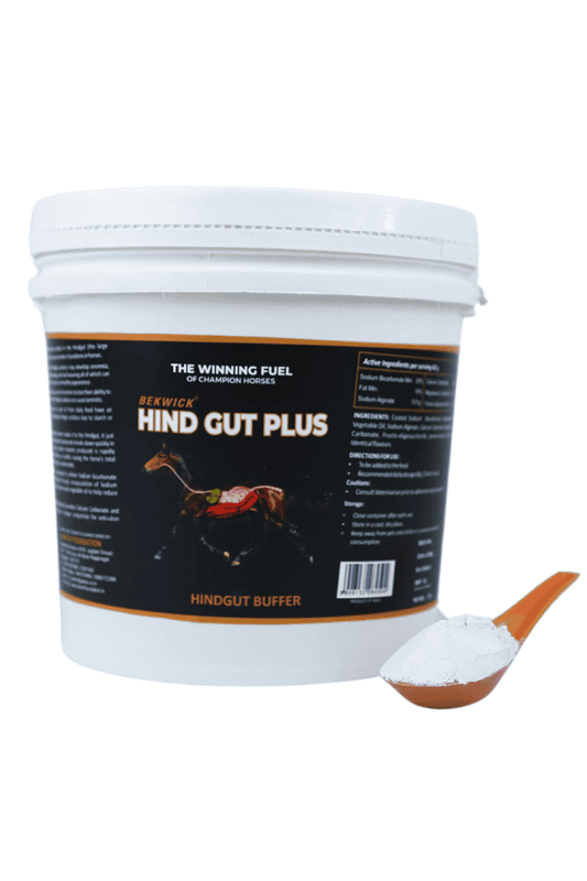 Bekwick Hind Gut Plus - 1KG Bekwick Hind Gut Plus - 1KG