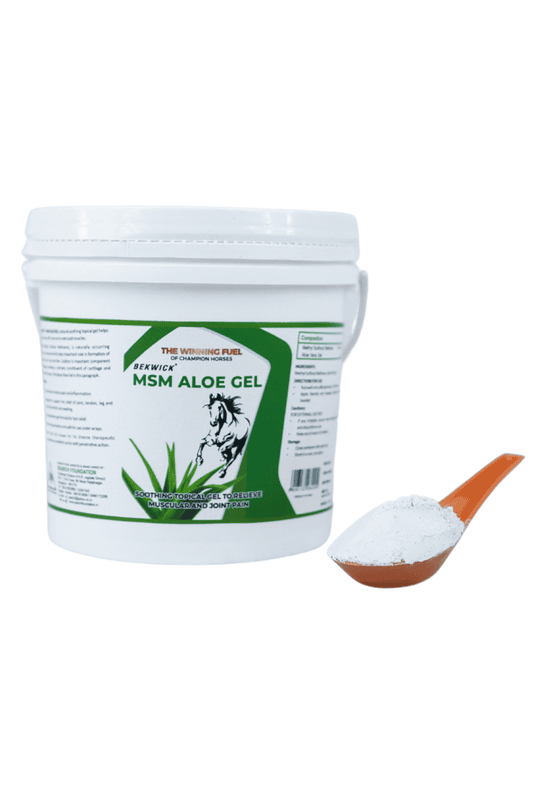 Bekwick MSM Aloe Gel - 1KG Bekwick MSM Aloe Gel - 1KG