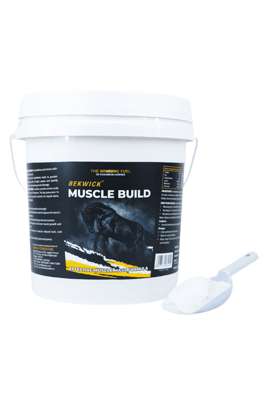 Bekwick Muscle Build Plus - 5Kg Bekwick Muscle Build Plus - 5Kg