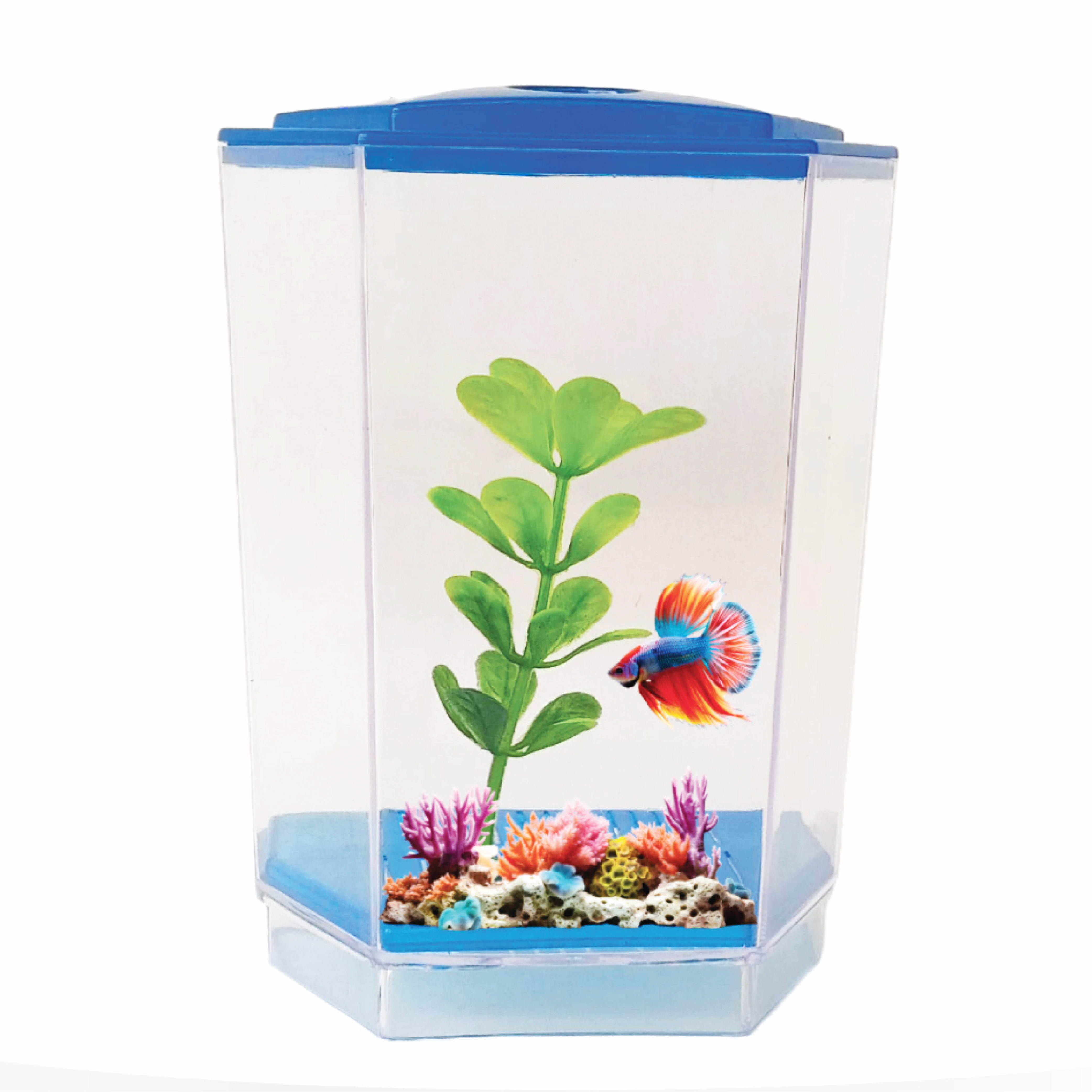 FlyExtreme Single Betta Fish Tank