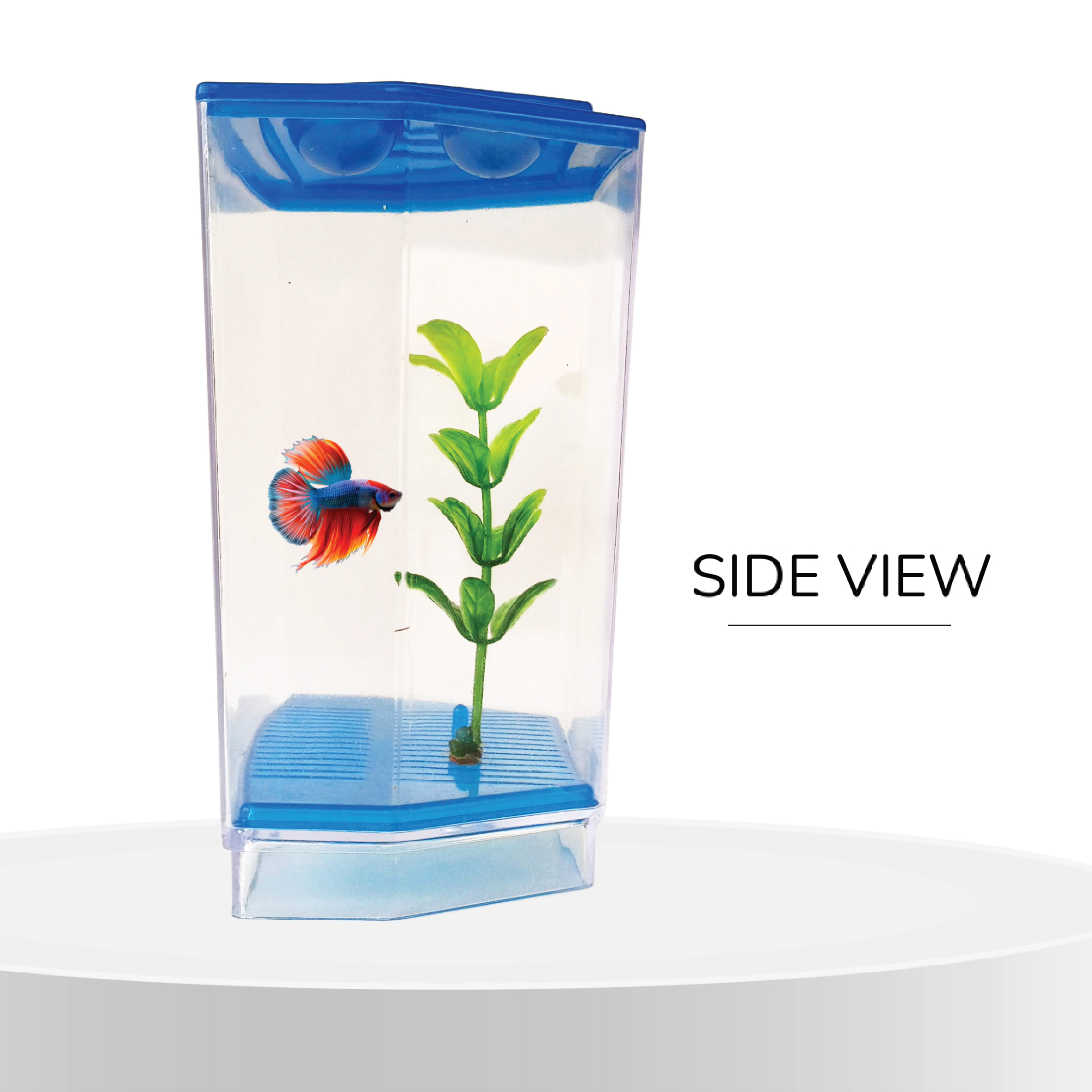 FlyExtreme Single Betta Fish Tank FlyExtreme Single Betta Fish Tank