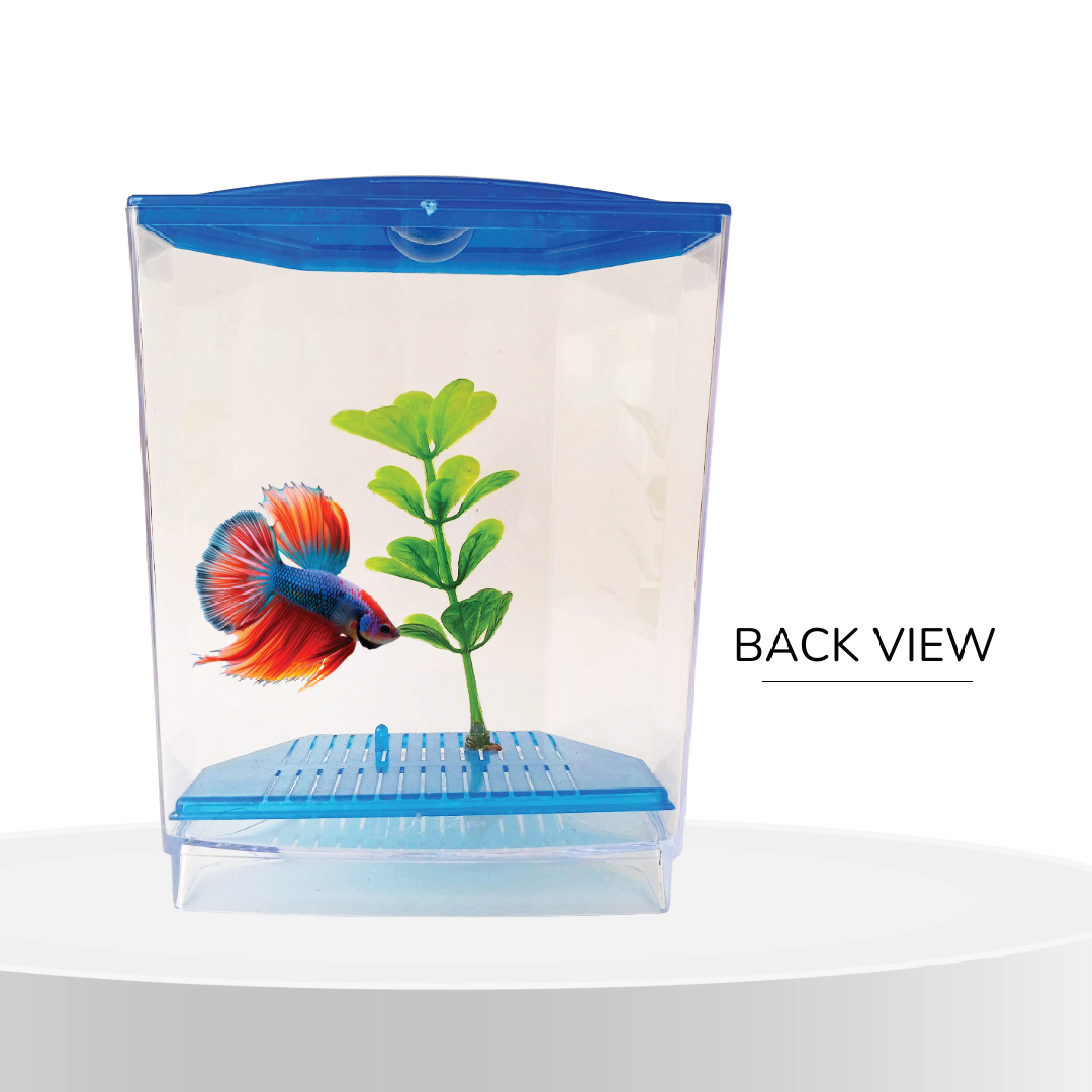 FlyExtreme Single Betta Fish Tank FlyExtreme Single Betta Fish Tank