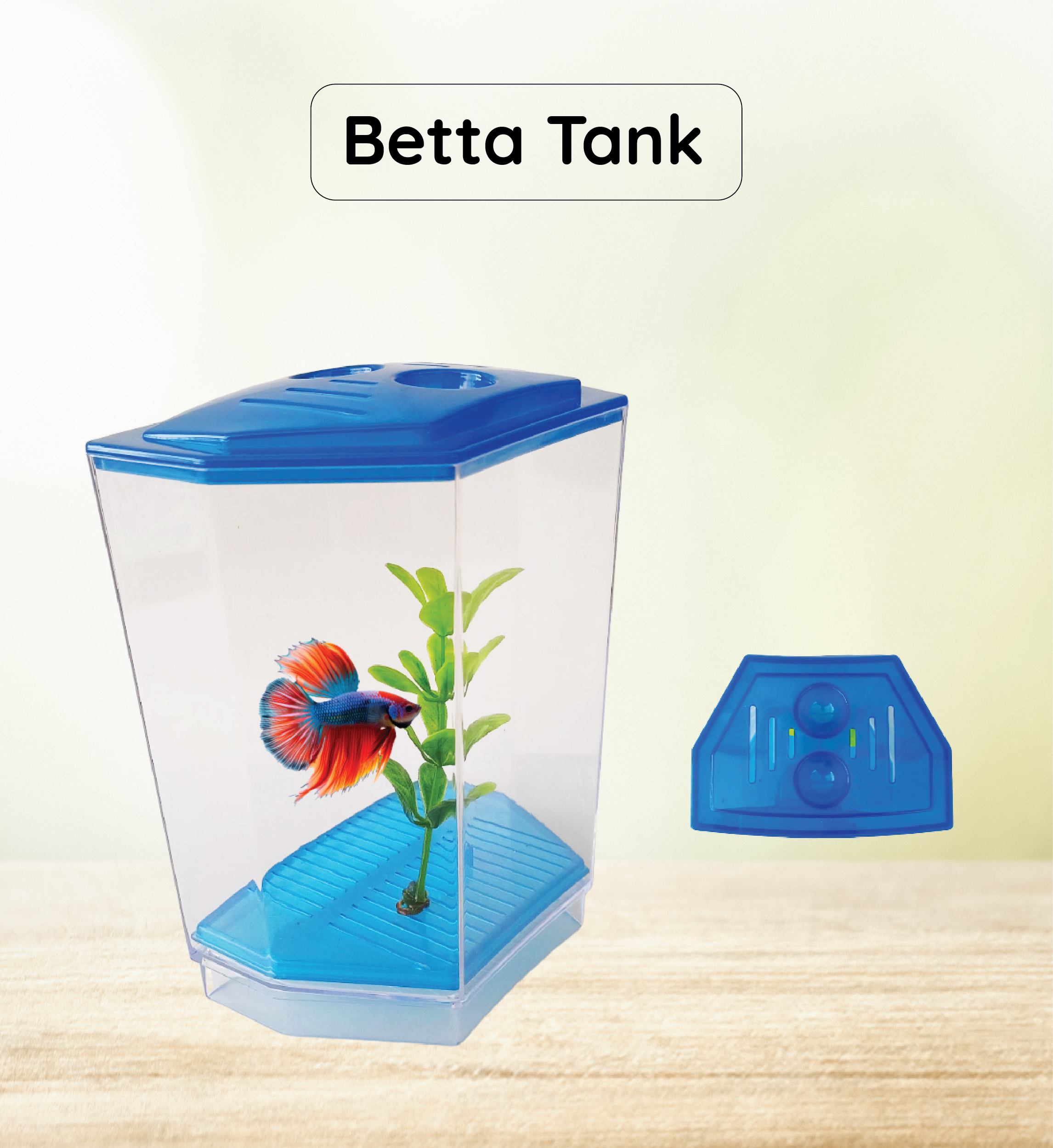 FlyExtreme Single Betta Fish Tank FlyExtreme Single Betta Fish Tank