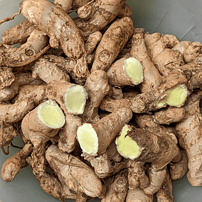 1KG Kasturi Turmeric seed Rhyzomes | Kasthuri Manjal | Aromatic Turmeric (Curcuma Aroamtica Salisb) Wild Turmeric Seeds (rhizomes) 1KG Kasturi Turmeric seed Rhyzomes | Kasthuri Manjal | Aromatic Turmeric (Curcuma Aroamtica Salisb) Wild Turmeric Seeds (rhizomes)