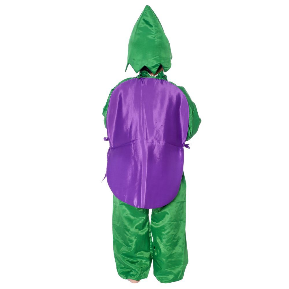 Brinjal Fancy Dress Costume Brinjal Fancy Dress Costume
