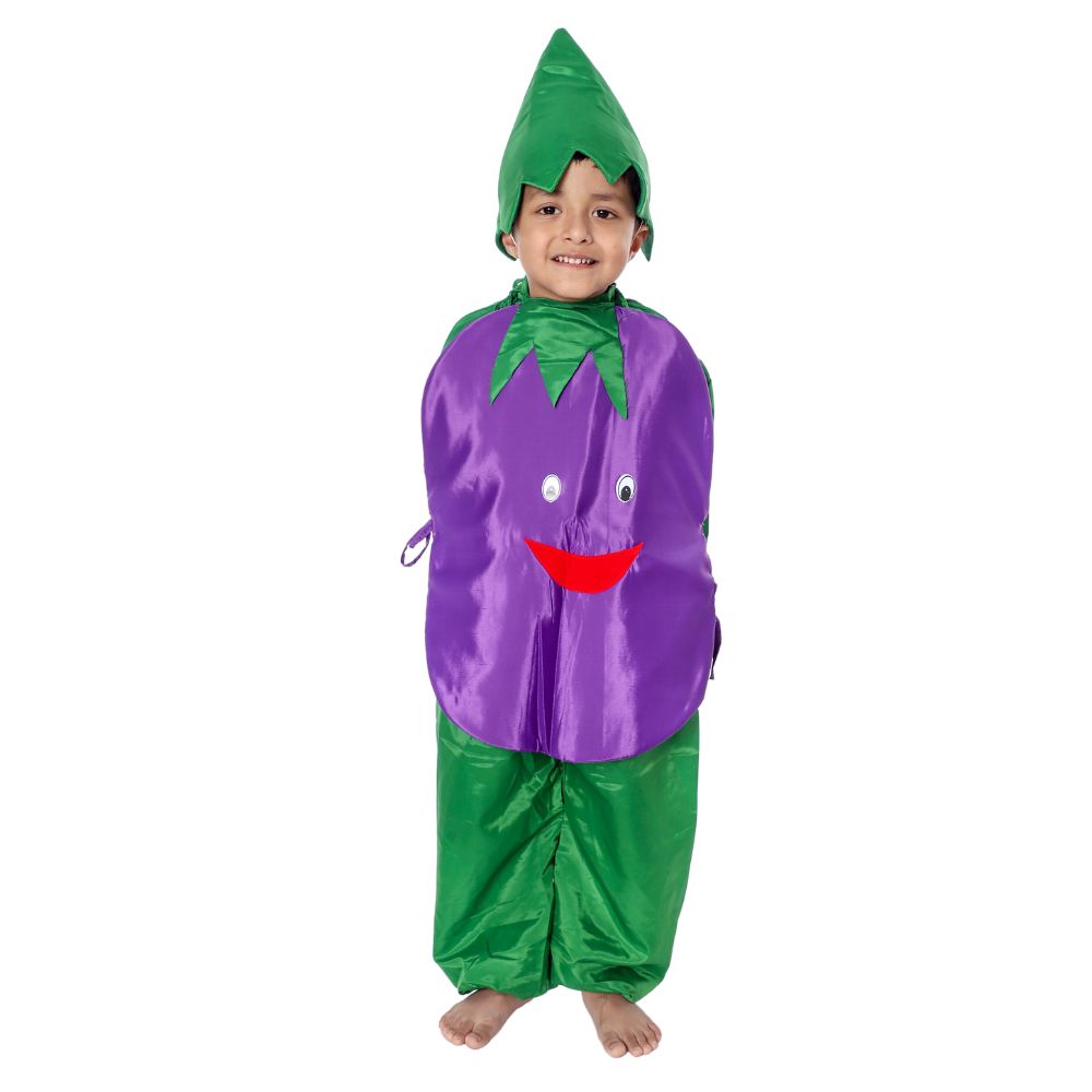 Brinjal Fancy Dress Costume Brinjal Fancy Dress Costume