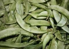 Broad Beans Broad Beans