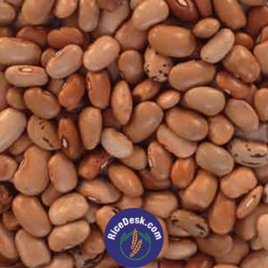 Lobia Brown | Bobbarlu