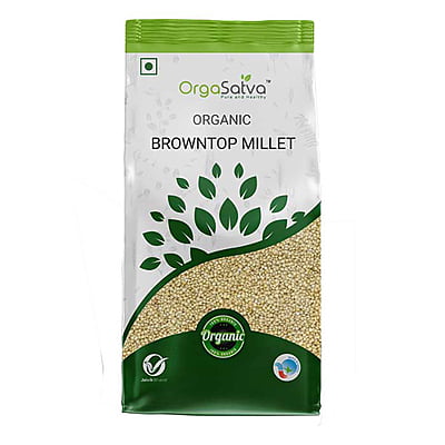 Brown Top Millet Brown Top Millet