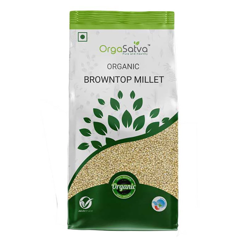 Brown Top Millet Brown Top Millet