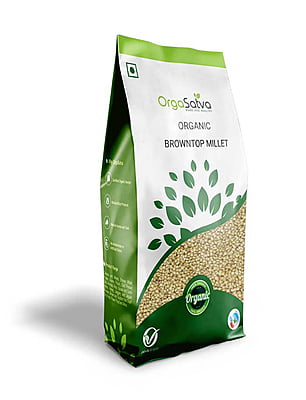 Brown Top Millet Brown Top Millet