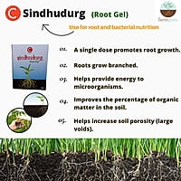 C Sindhudurg Crop Nutrition - Farmfields (1 Kg)