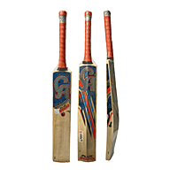 CA Plus 5000 Cricket Bat