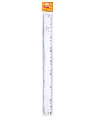 Camline Scale