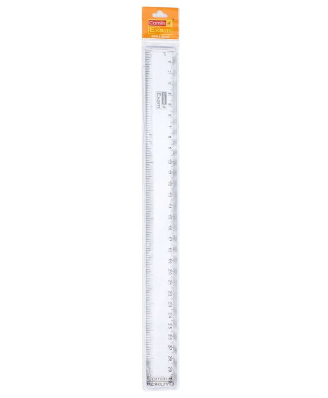 Camline Scale
