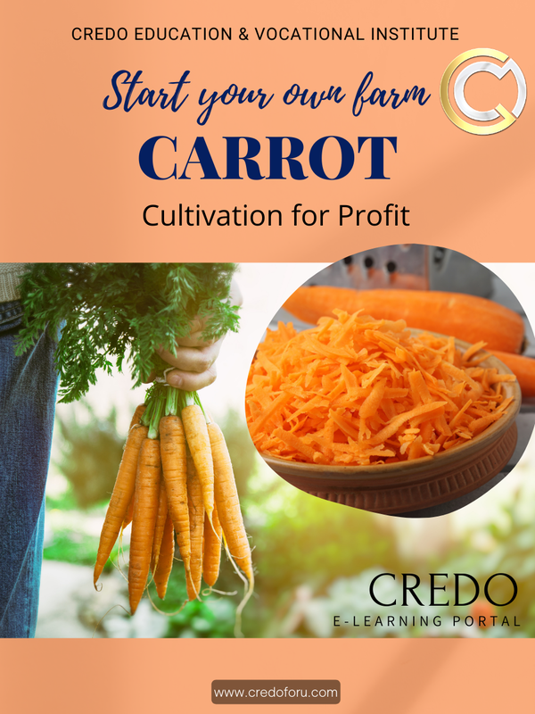 CARROT CULTIVATION CARROT CULTIVATION
