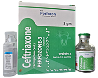 CEFTRIAXONE Inj CEFTRIAXONE Inj
