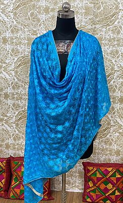 Chiffon Phulkari Dupatta-10