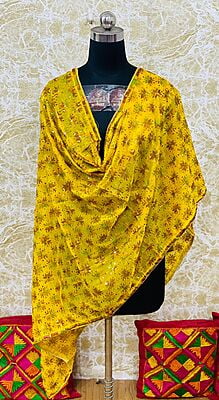 Chiffon Phulkari Dupatta-11