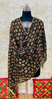 Chiffon Phulkari Dupatta-2