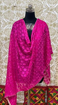 Chiffon Phulkari Dupatta-4