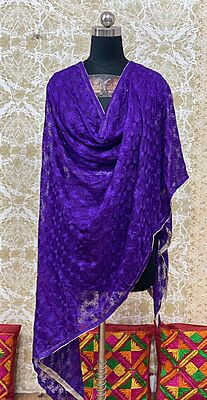 Chiffon Phulkari Dupatta-5