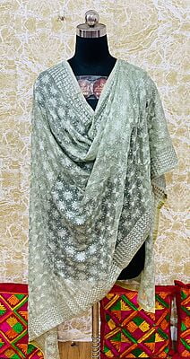 Chiffon Phulkari Dupatta-8