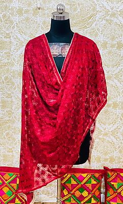 Chiffon Phulkari Dupatta-9