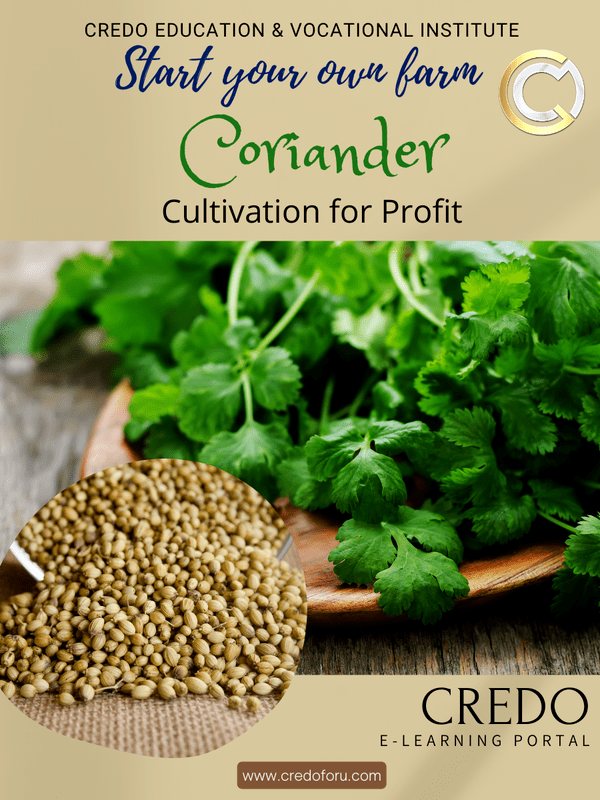 CORIANDER CULTIVATION CORIANDER CULTIVATION