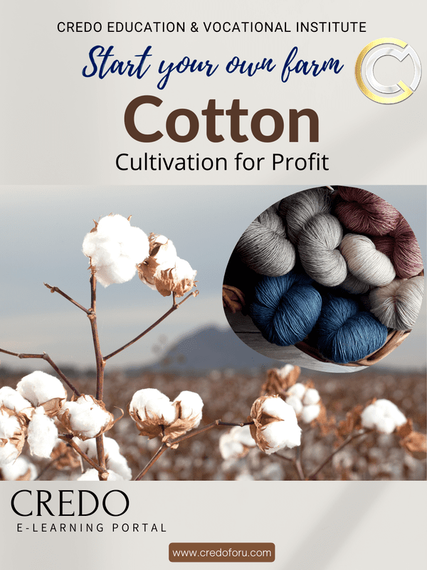 COTTON CULTIVATION COTTON CULTIVATION