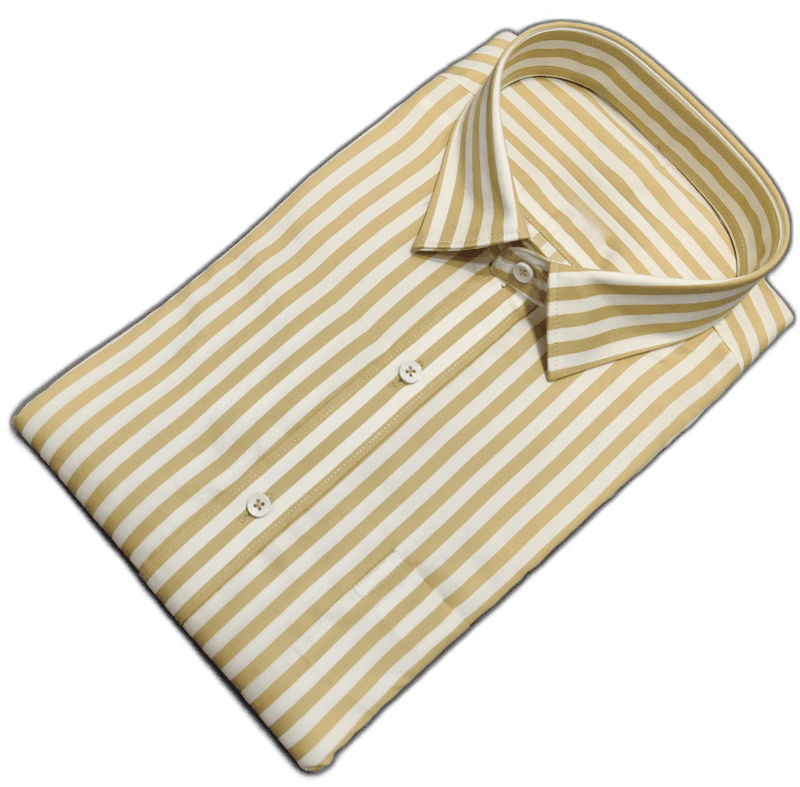 Stripes Cotton Shirt