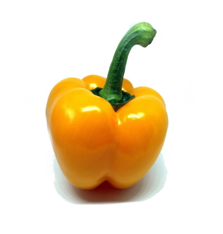 Capsicum Yellow Capsicum Yellow