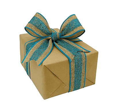 Natural Jute with Blue Mesh