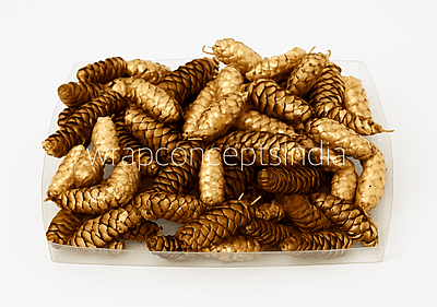 Gold Long Pine Cone