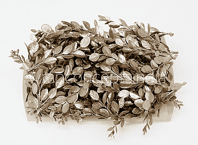 Champagne Imperial Leaf