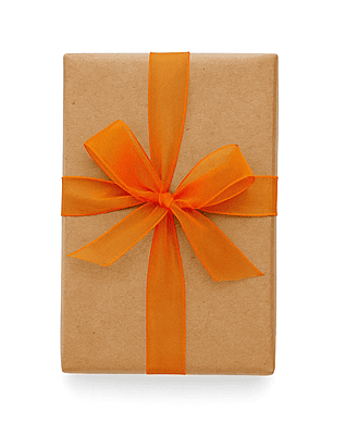 Plain Organza Ribbon-Orange