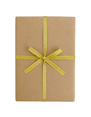 Ribbon with Gold Diagonal Stripes