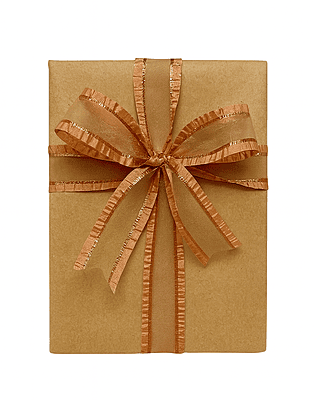 Sheer Ribbon With Satin Frill Edges