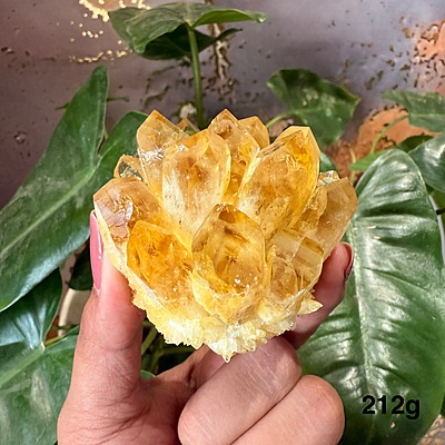 Citrine Crystal Cluster Citrine Crystal Cluster