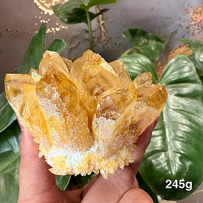 Citrine Crystal Cluster Citrine Crystal Cluster
