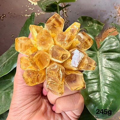 Citrine Crystal Cluster Citrine Crystal Cluster
