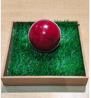 CRICKET BALL RICOCHET CRICKET BALL RICOCHET