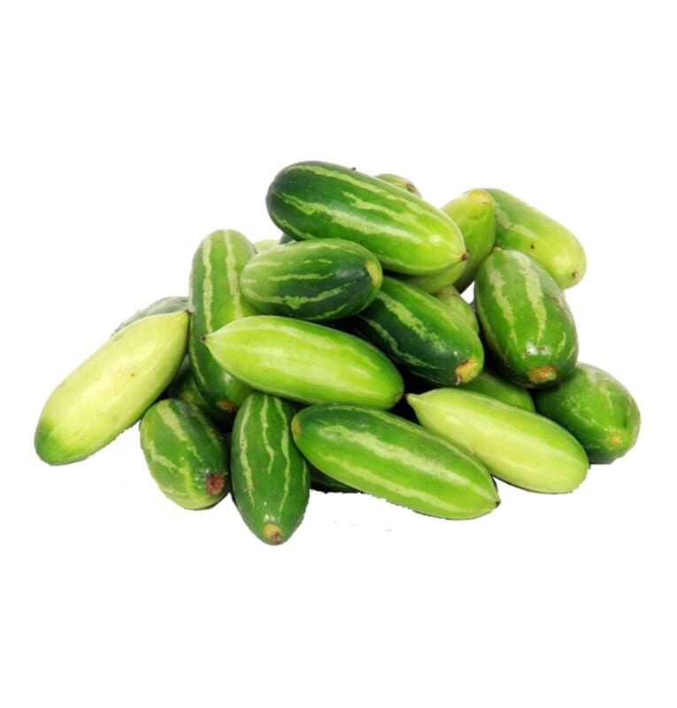 Coccinia (Kovakkai)