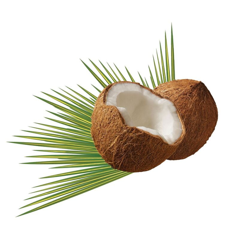 Coconut (Thengaai) Coconut (Thengaai)