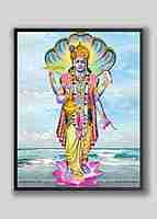 NARAYANA