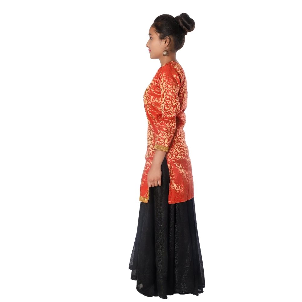 Contemporary and Indo Western Fancy Dress Costume Contemporary and Indo Western Fancy Dress Costume