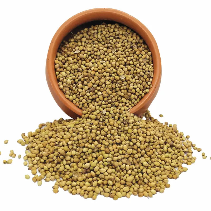 Organic Coriander Seeds-100 g Organic Coriander Seeds-100 g