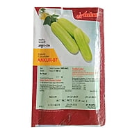 Cucumber Seeds - Ankur Seeds (25gm)