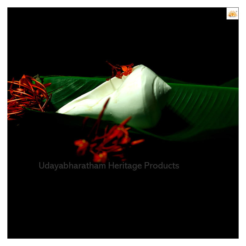 Spiritual Valampuri Sankh (White)for PoojaRoom &Home Spiritual Valampuri Sankh (White)for PoojaRoom &Home