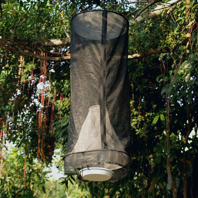 Pop-up Butterfly Bait Trap (10cm Cone Opening) DC0017 Pop-up Butterfly Bait Trap (10cm Cone Opening) DC0017